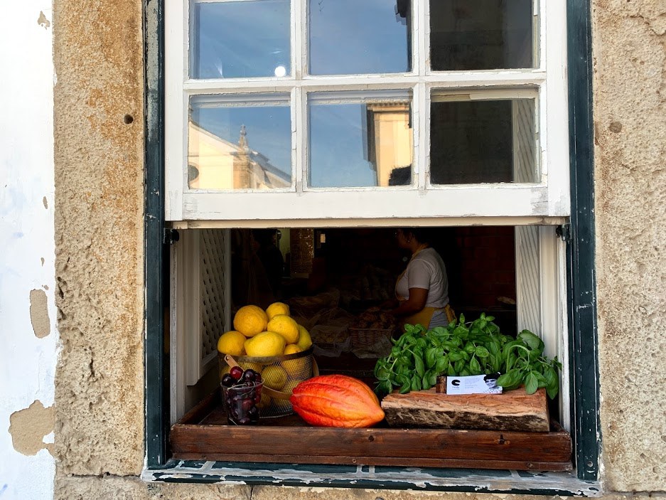 #12 1오비두스.jpg