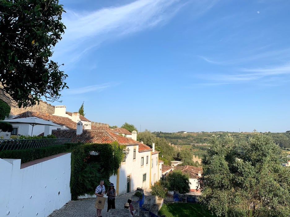 #12 3오비두스.jpg