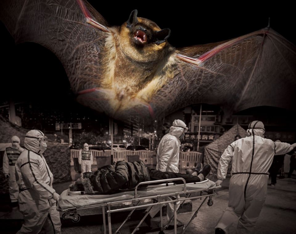 5.4. 박쥐 (시시저널).jpg