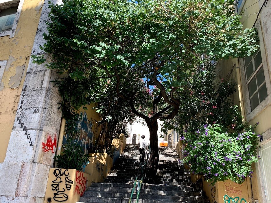 #5 13 계단산책.jpg