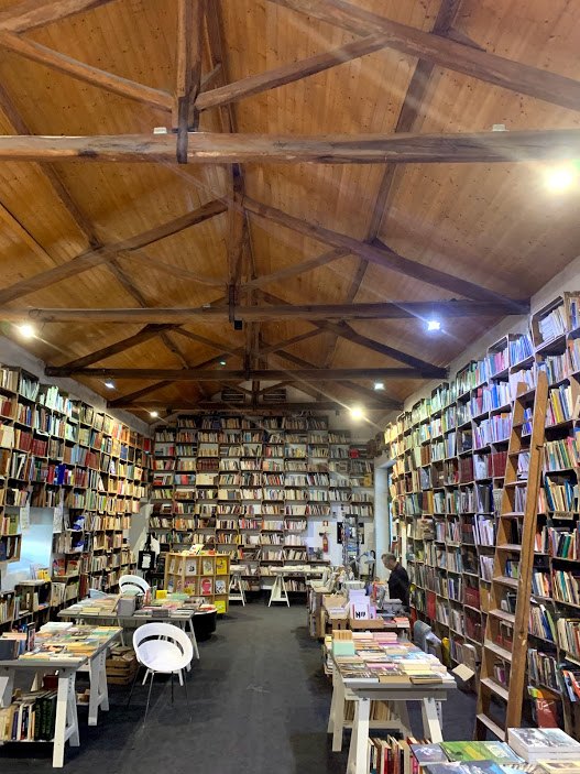 #12 8오비두스.jpg