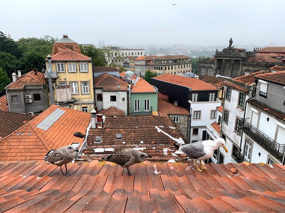 #16 5새의나라.jpg