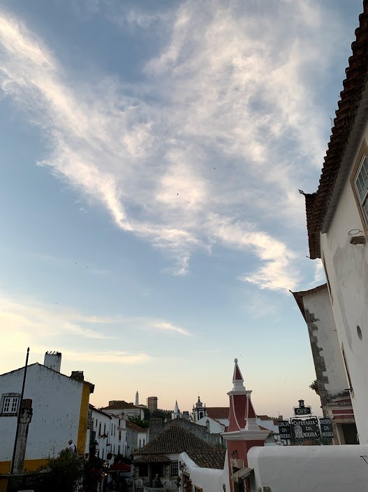 #12 4오비두스.jpg