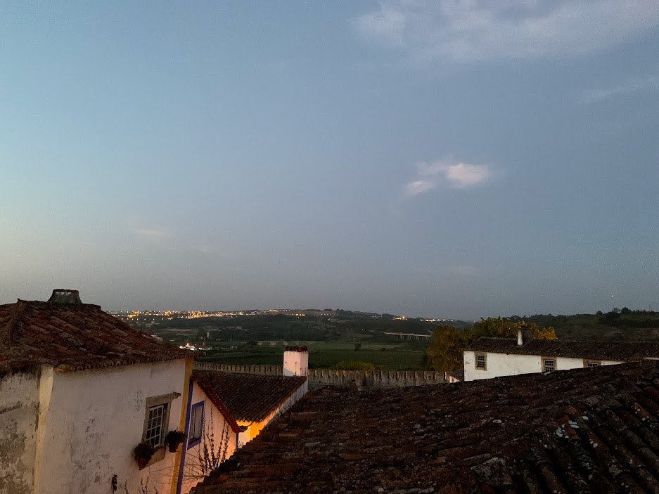 #12 13오비두스.jpg