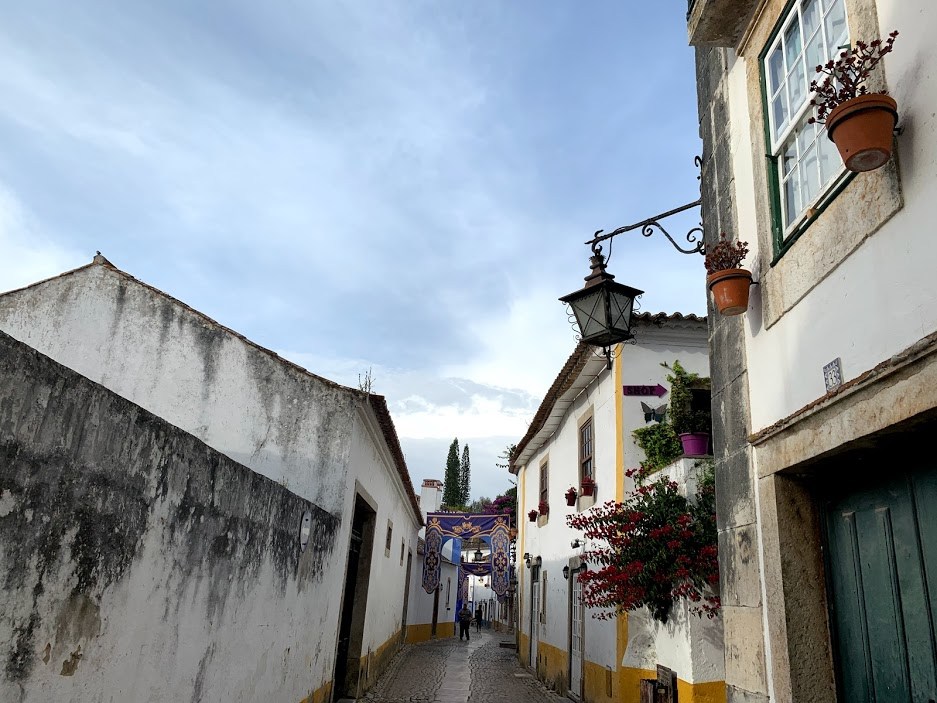 #12 16오비두스.jpg