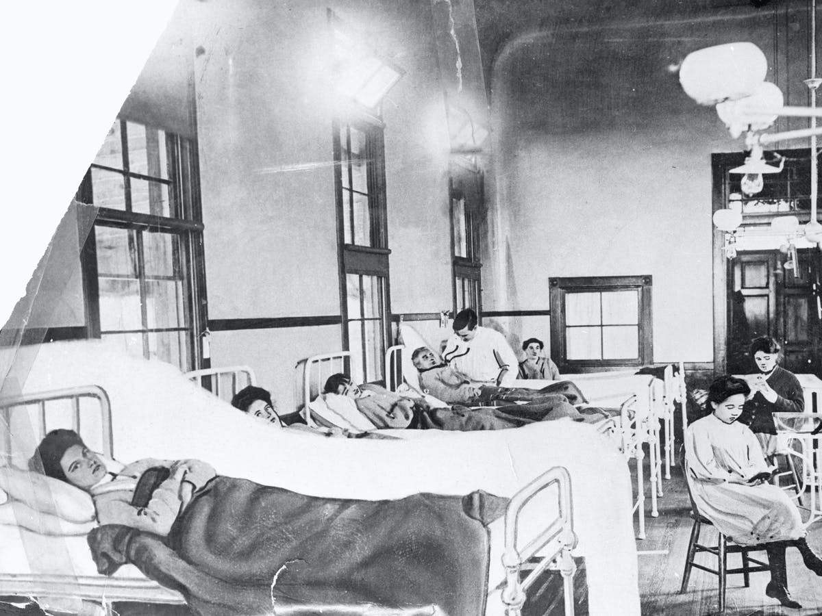 11-3 a메리 사진(theconversation.com).jpg