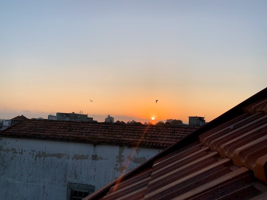 #16 3새의나라.jpg