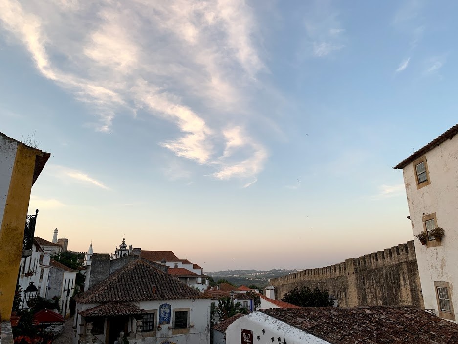 #12 5오비두스.jpg