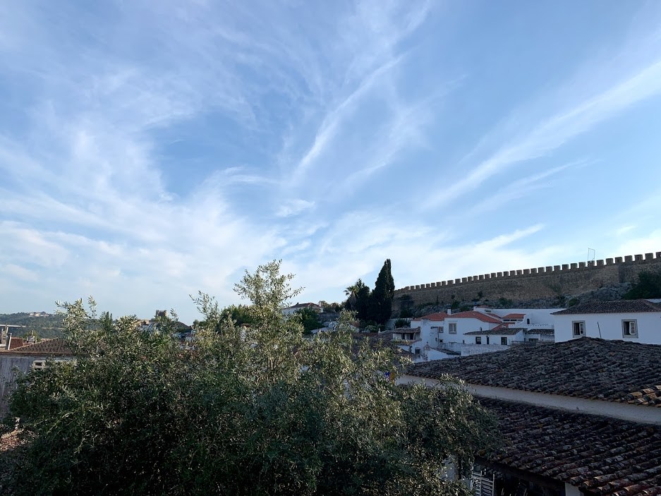 #12 2오비두스.jpg