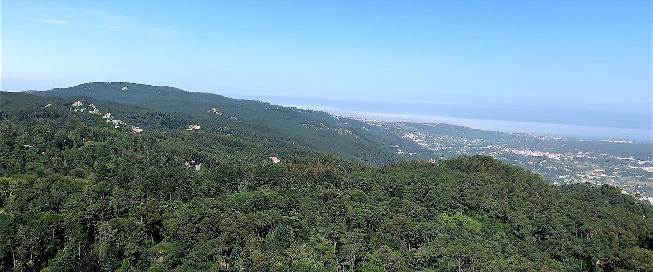 #11 1리스보아.jpg