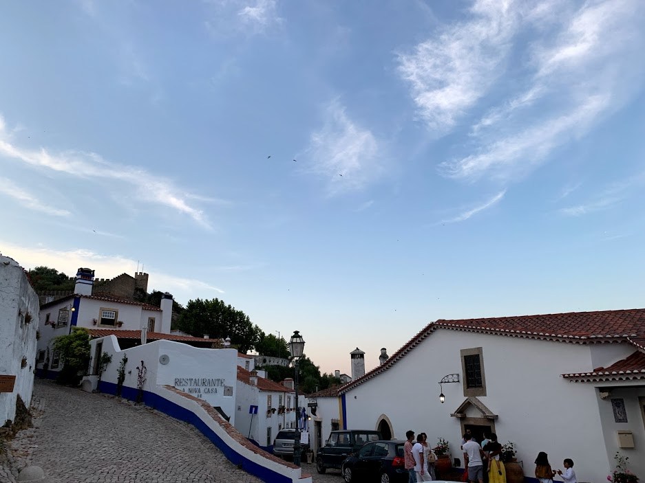 #12 12오비두스.jpg