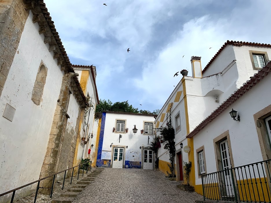 #12 17오비두스.jpg