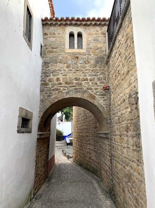 #12 19오비두스.jpg