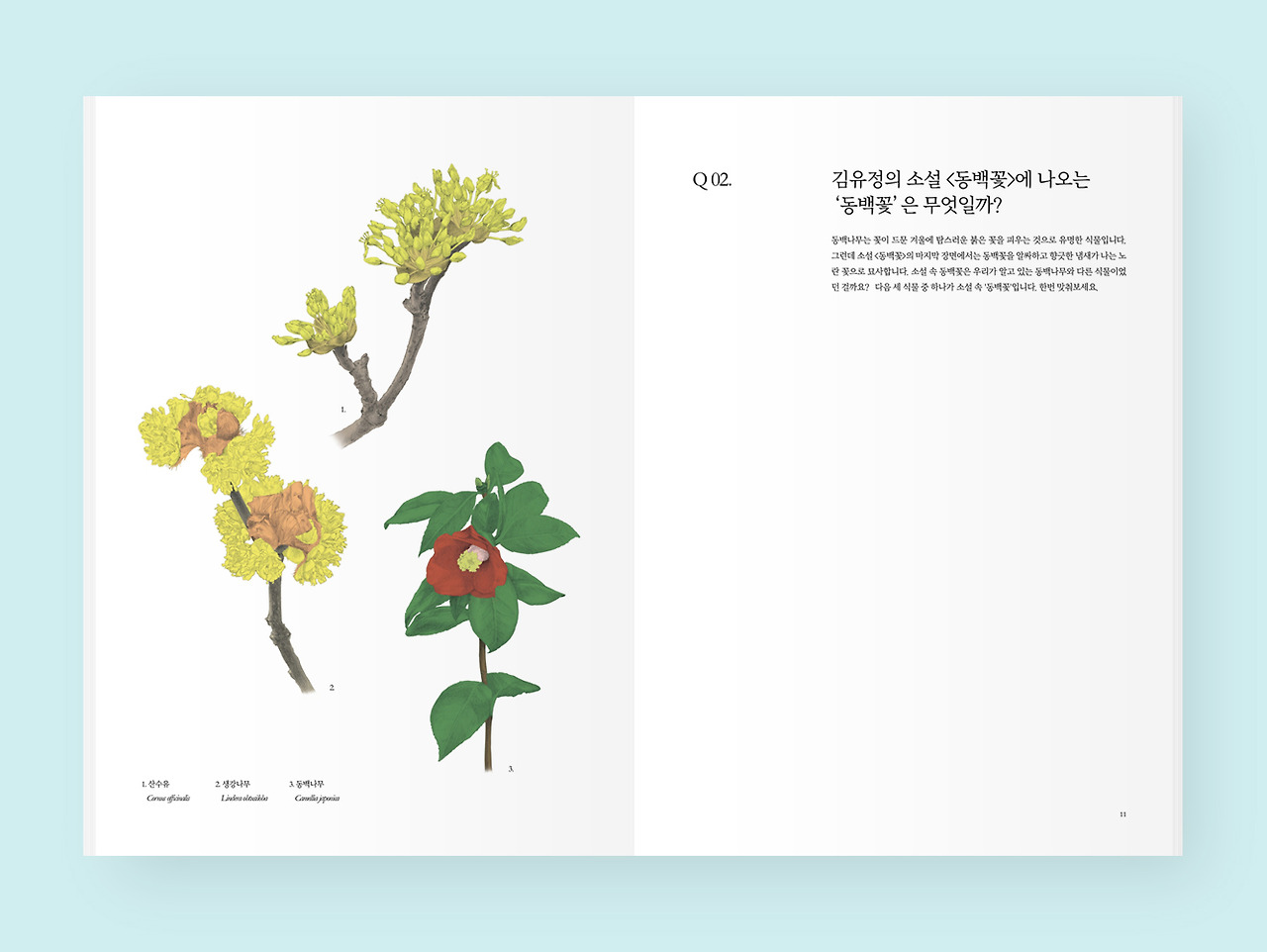 181007 펀딩 내지_생강나무 질문.jpg