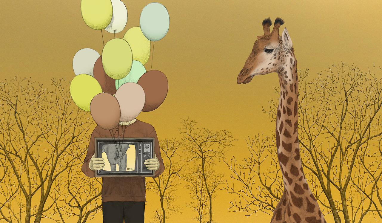 161216 see reallow3.jpg