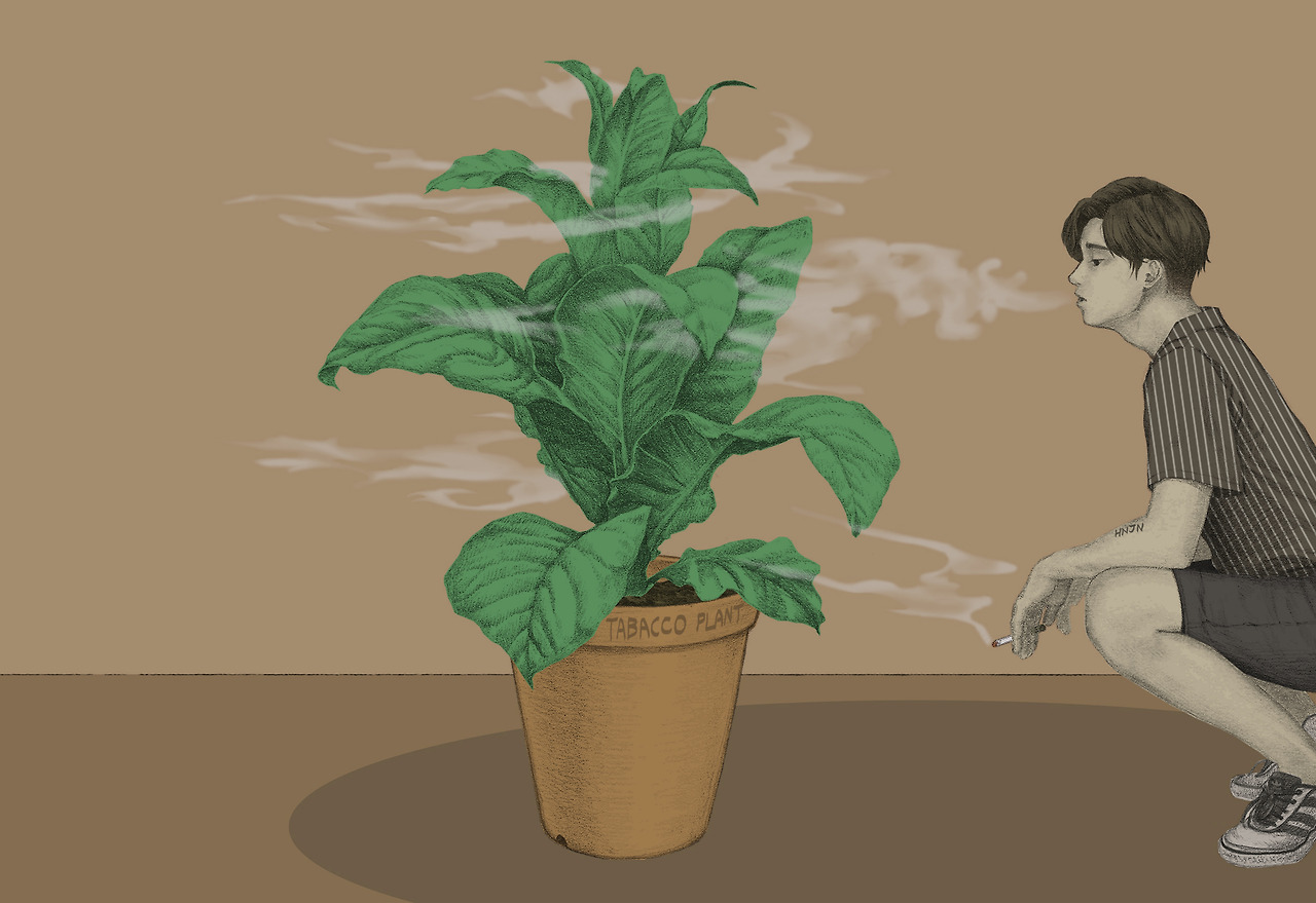 20160825 담배정원_채도조절_detail.jpg