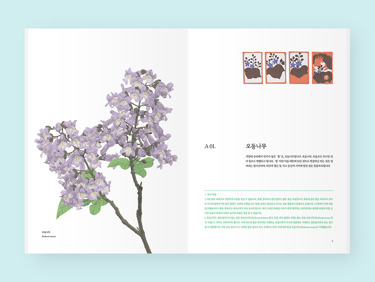 181007 오동나무 대답.jpg