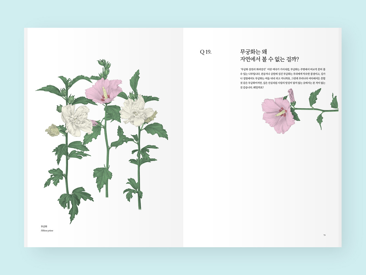 181007 무궁화 질문.jpg