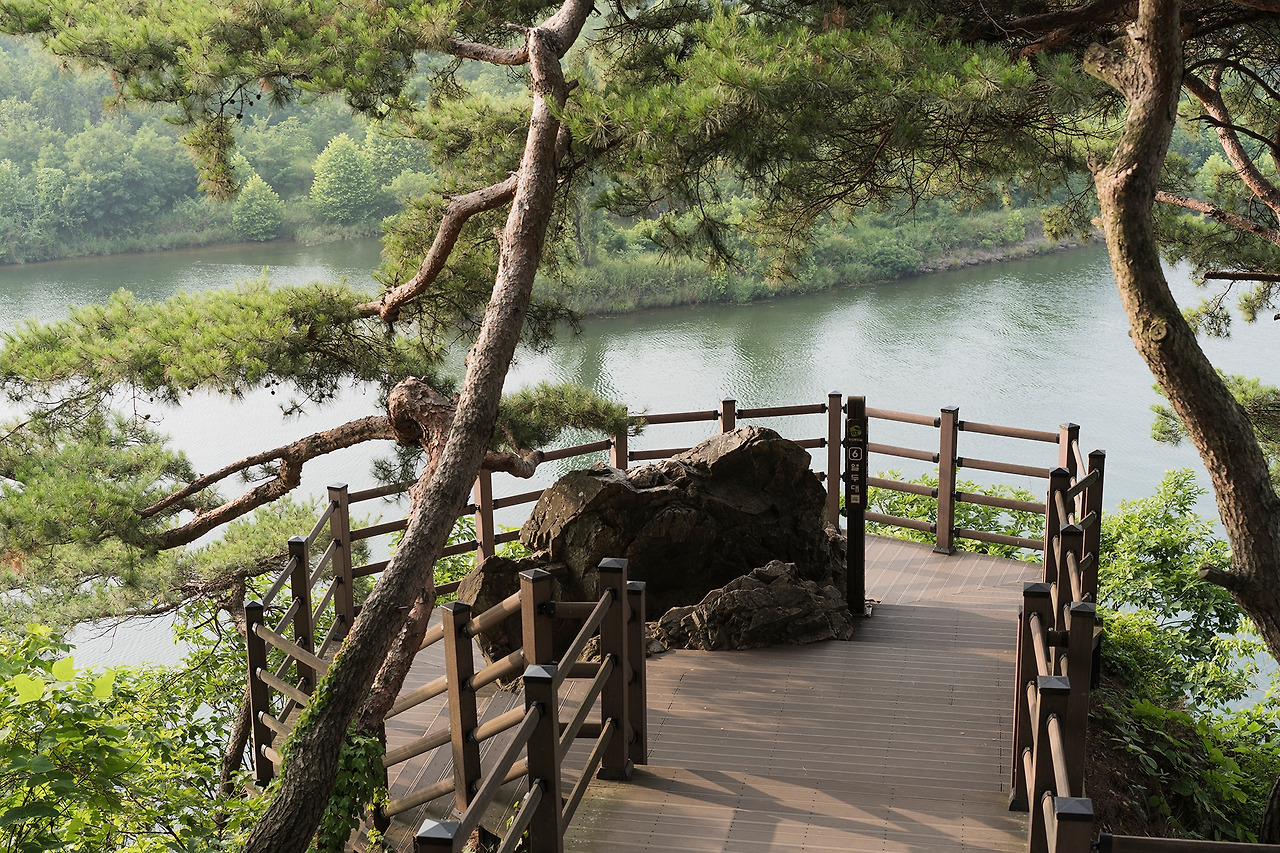 충32 탄금대 DSC02869_2000.jpg