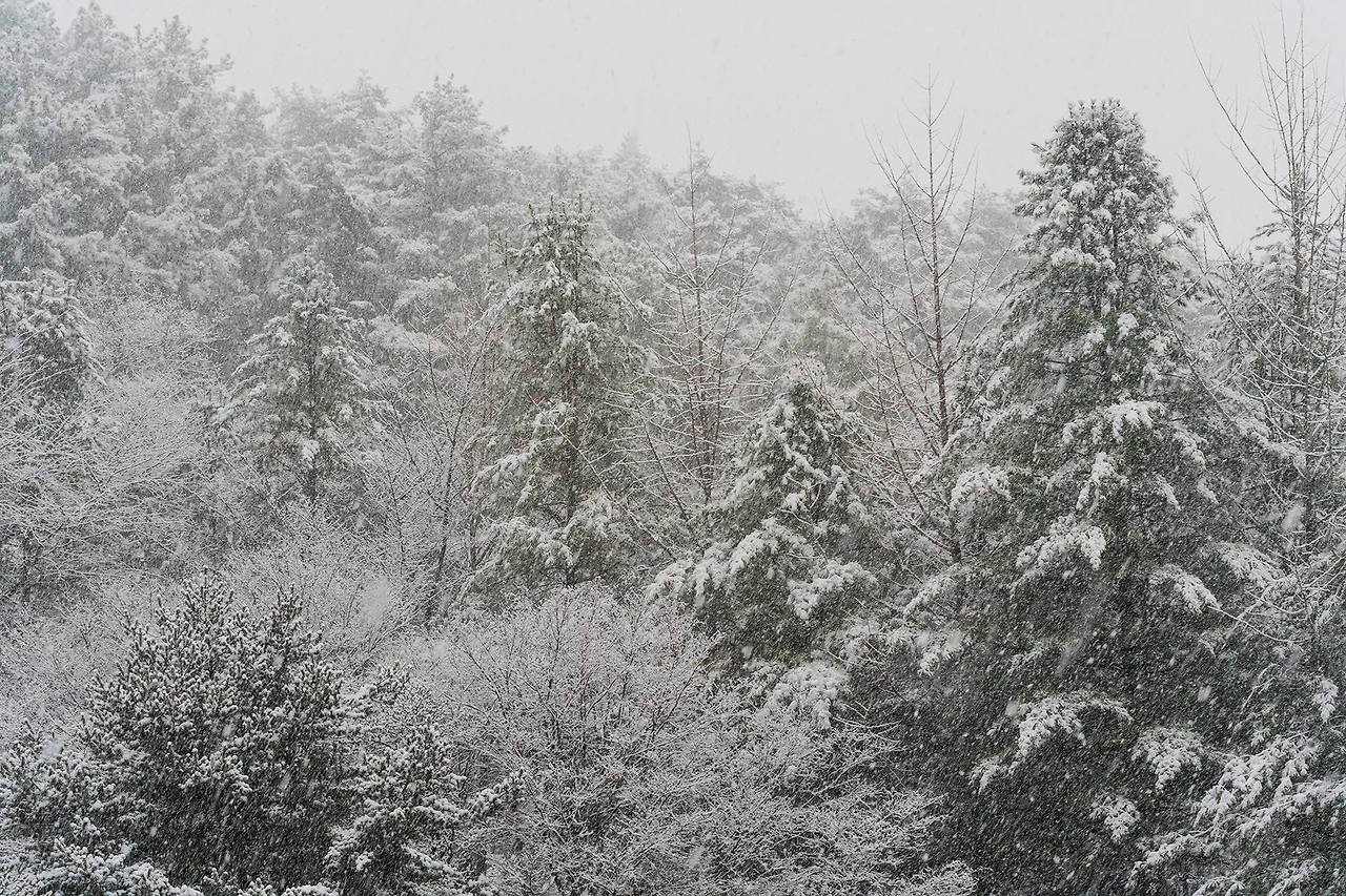 충03 수안보_2.jpg