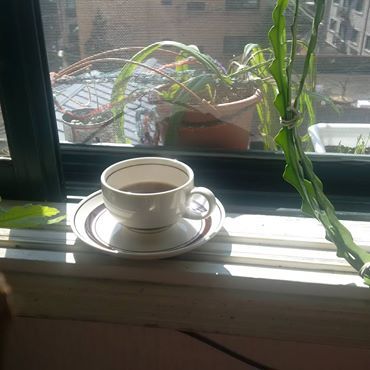 주말 낮의 여유있는 차 한잔 코스프레.jpg