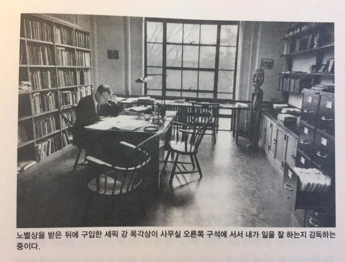 FullSizeRender (1).jpg