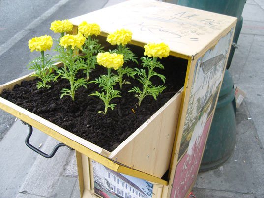 guerillagarden_planterbox5.jpg