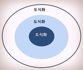 도식화.jpg