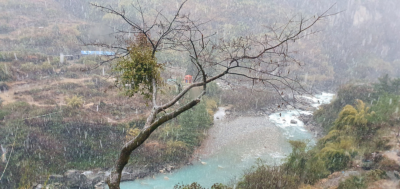 20200103_160651(다랏파니 첫눈).jpg