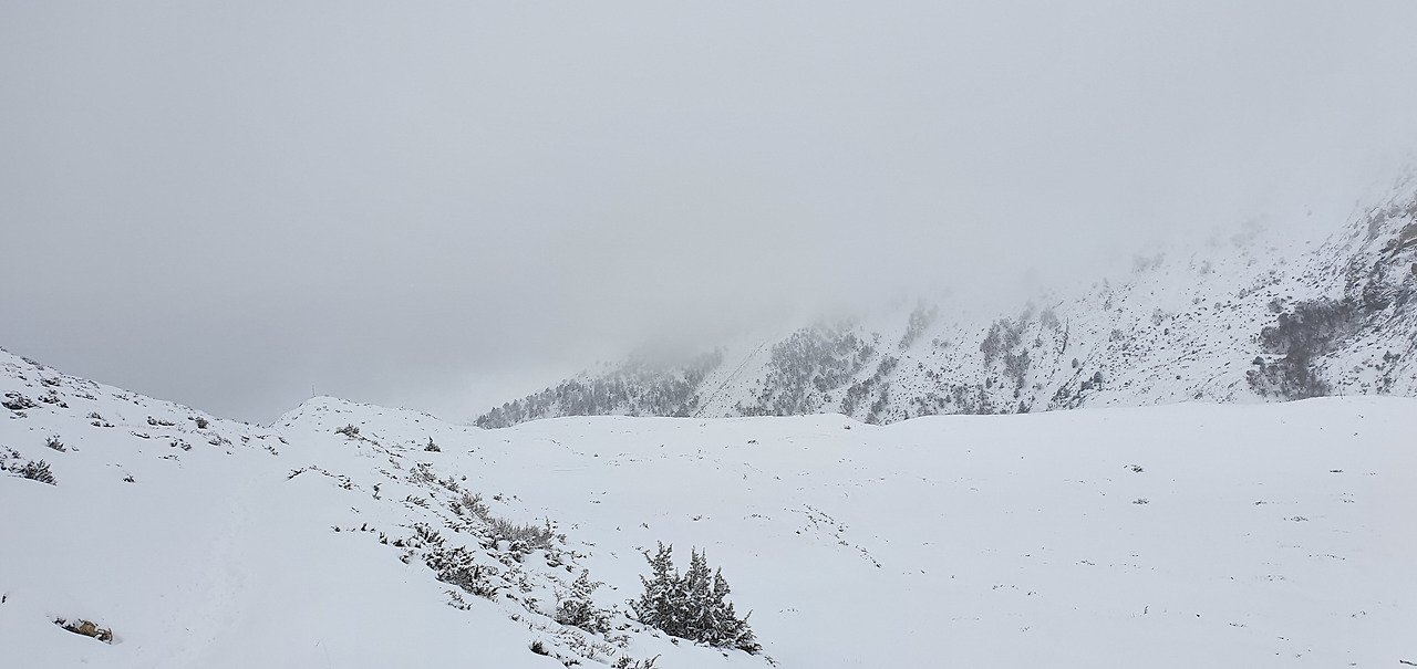 20200108_115502(야크카르카 가는길).jpg