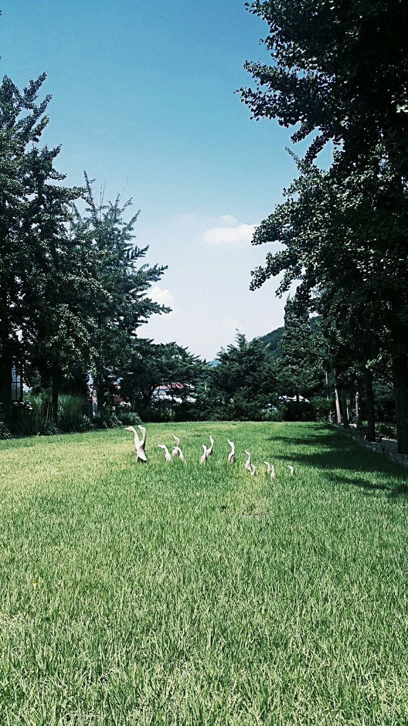 파머스대디 추가.jpg