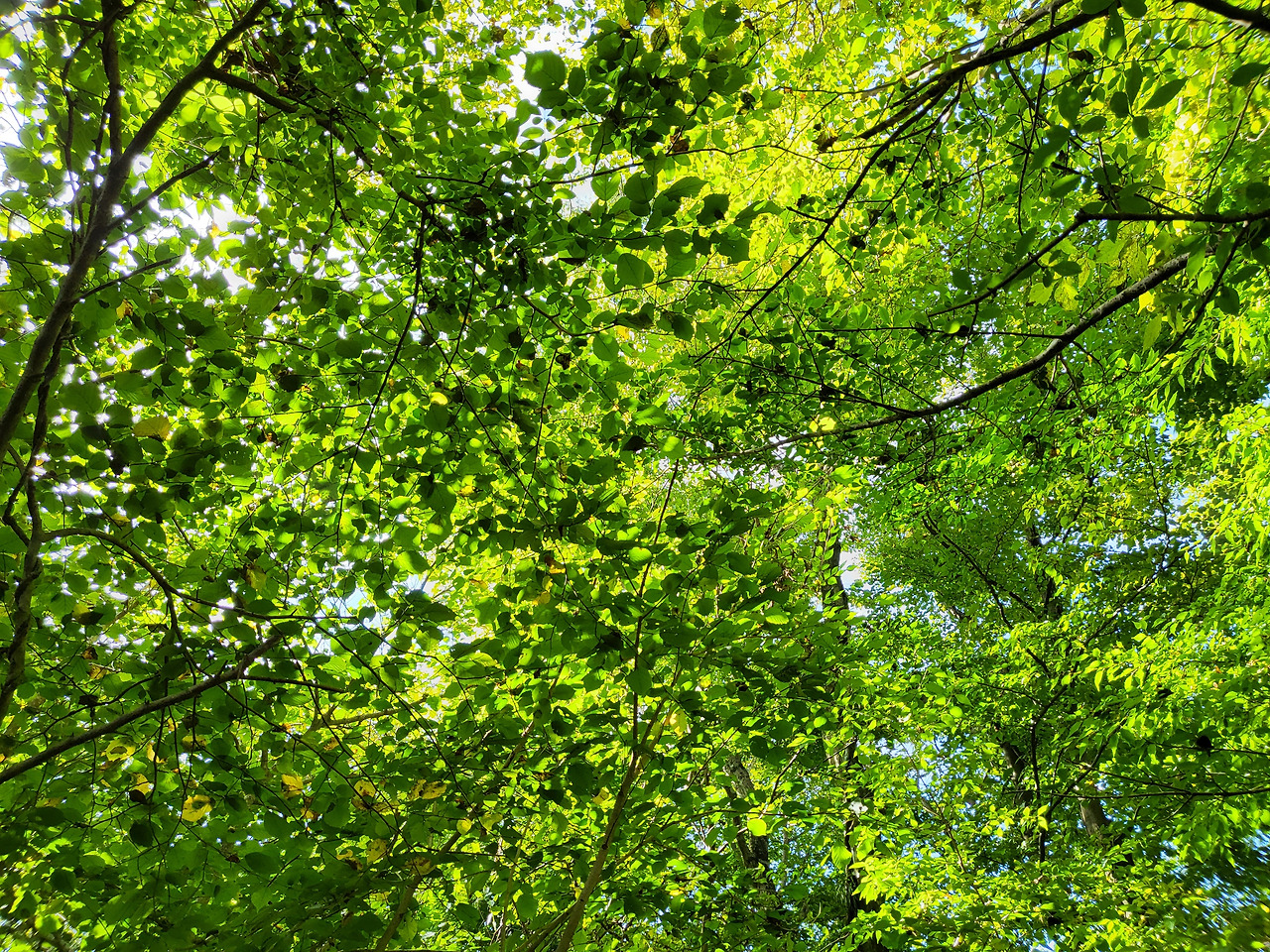 20220923_092512 (1).jpg