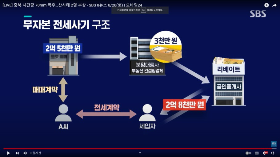 전세사기 구조.jpg