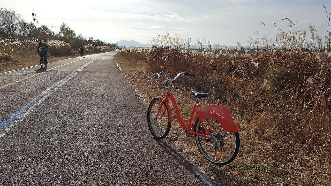 공유자전거.jpg