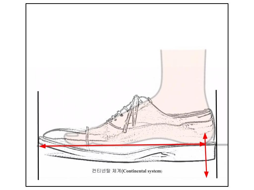 컨티넨탈 체계.jpg