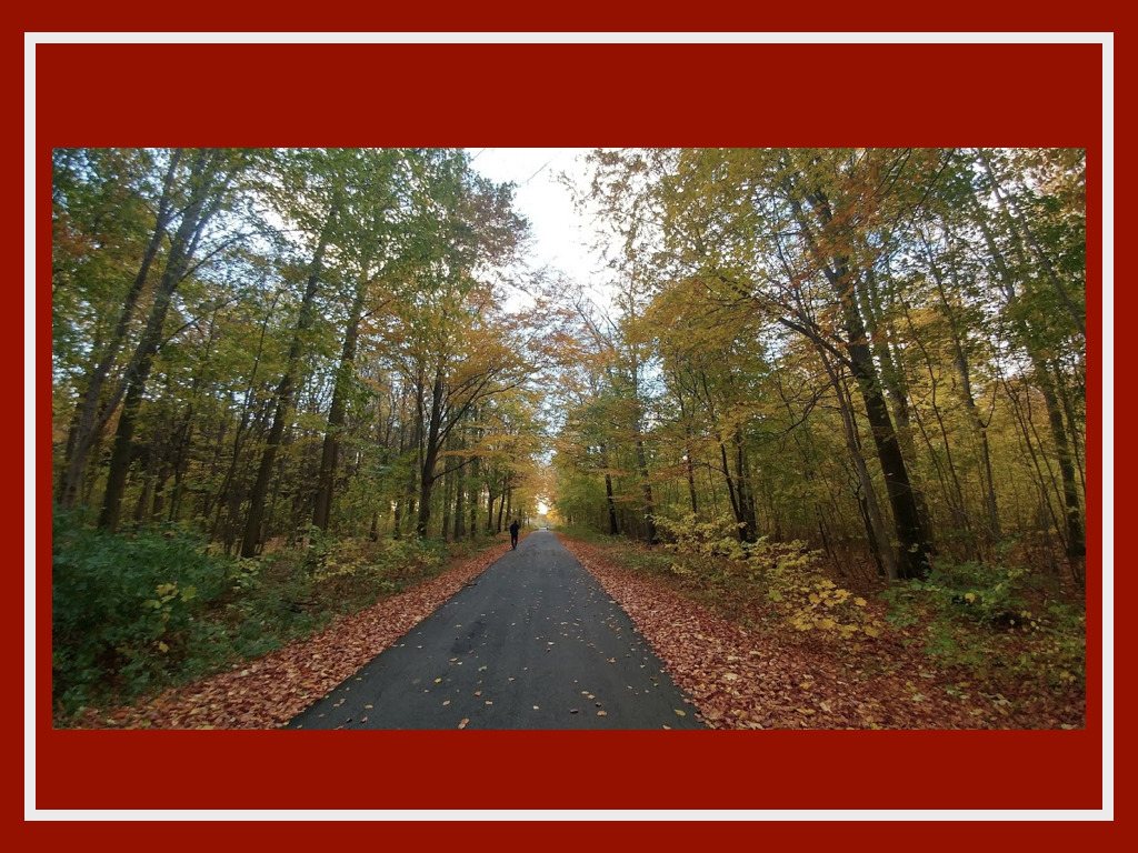 DENMARK krogerup.003.jpg