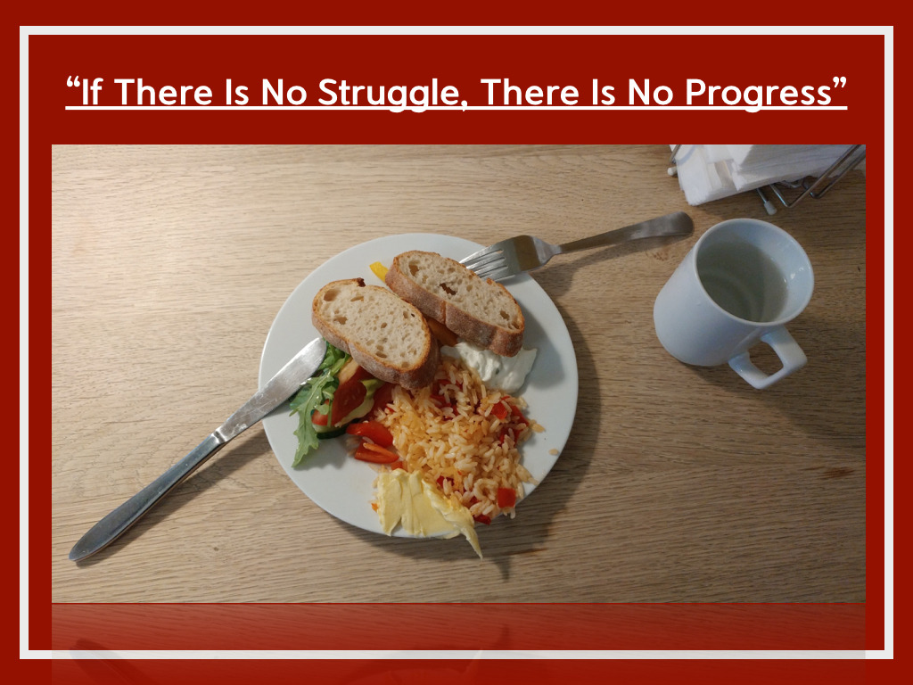 DENMARK krogerup.015.jpg