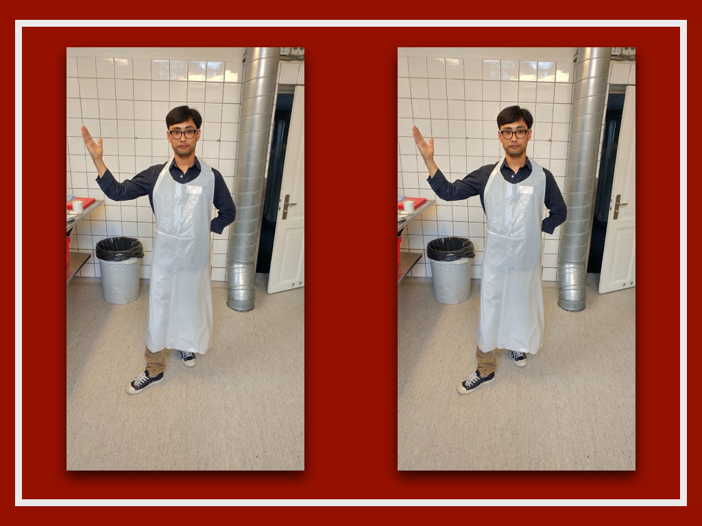 DENMARK krogerup.011.jpg