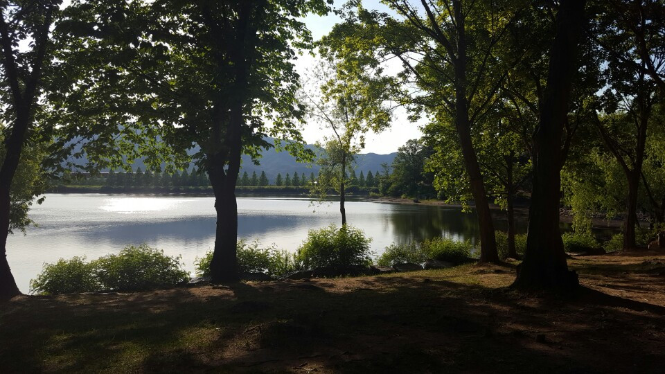 서울대공원, 여름.jpg