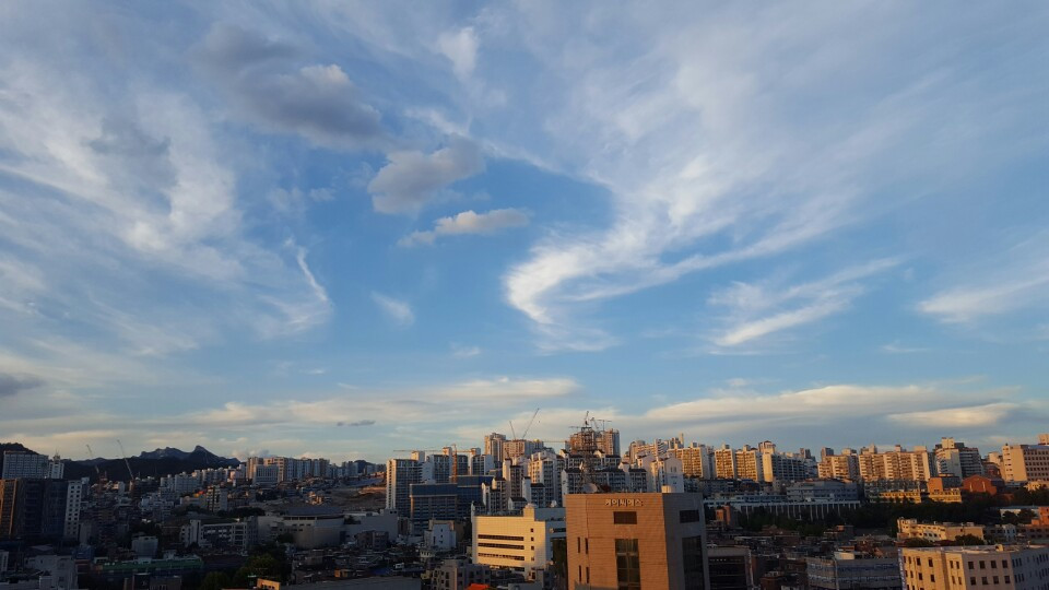 울집 다용도실.jpg