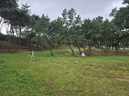 20251019_울산간절곶에서 아들과 캐치볼.jpg