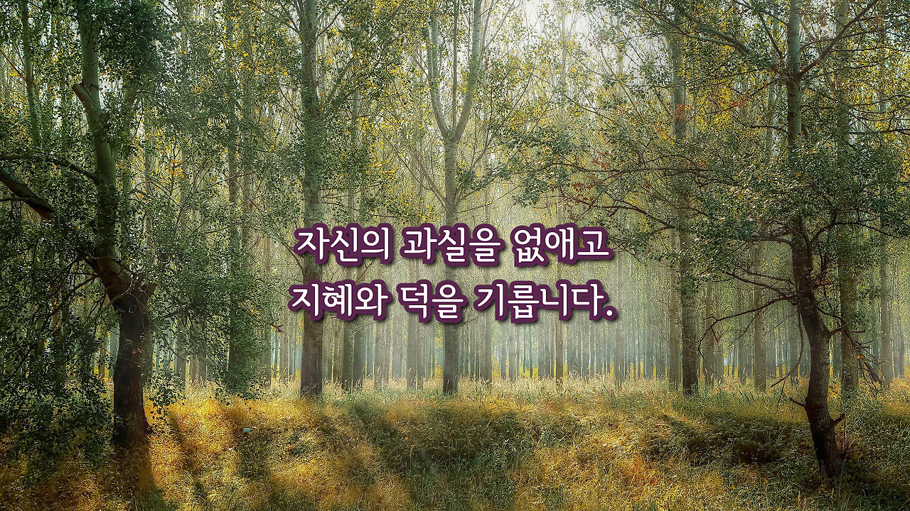 오후의책편지20.00_00_50_13.Still009.jpg