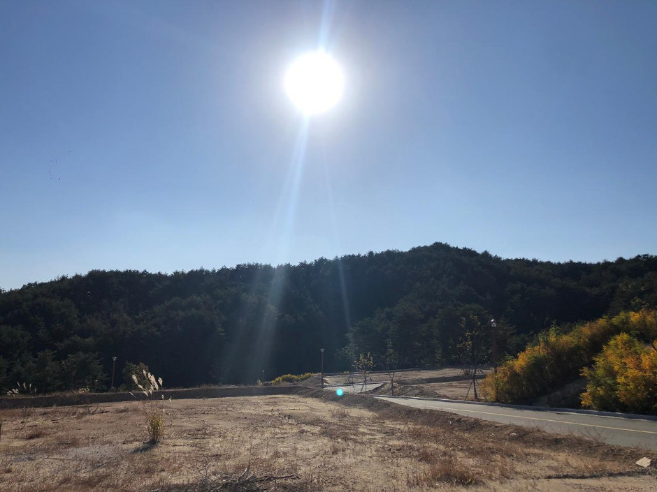 2020-10-23 15.01.51.jpg