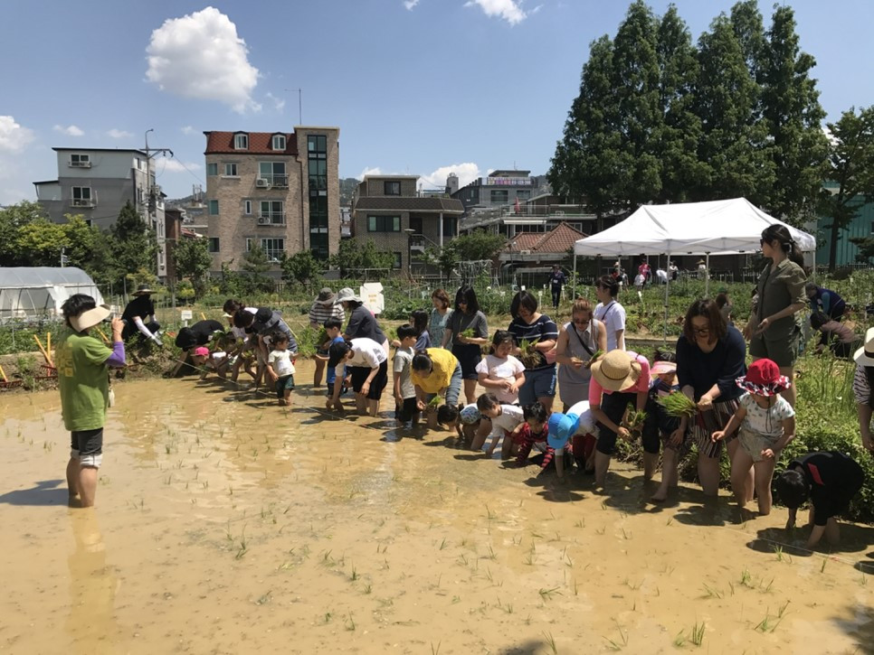(사진2)_서울어린이대공원_텃밭프로그램.jpg