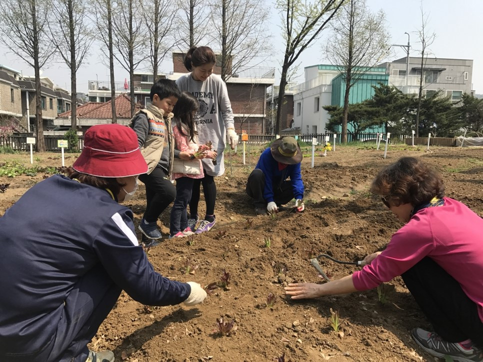 (사진1)_서울어린이대공원_텃밭프로그램.jpg