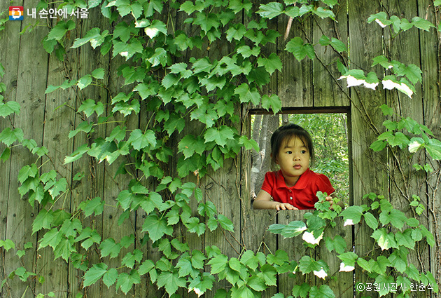 초록에 물들다.jpg