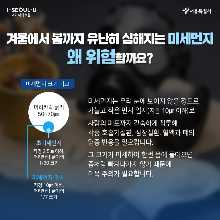 서울시_카드뉴스_미세먼지대책02_1911128.jpg