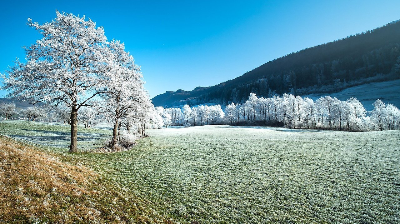 hoarfrost-4739176_1920.jpg