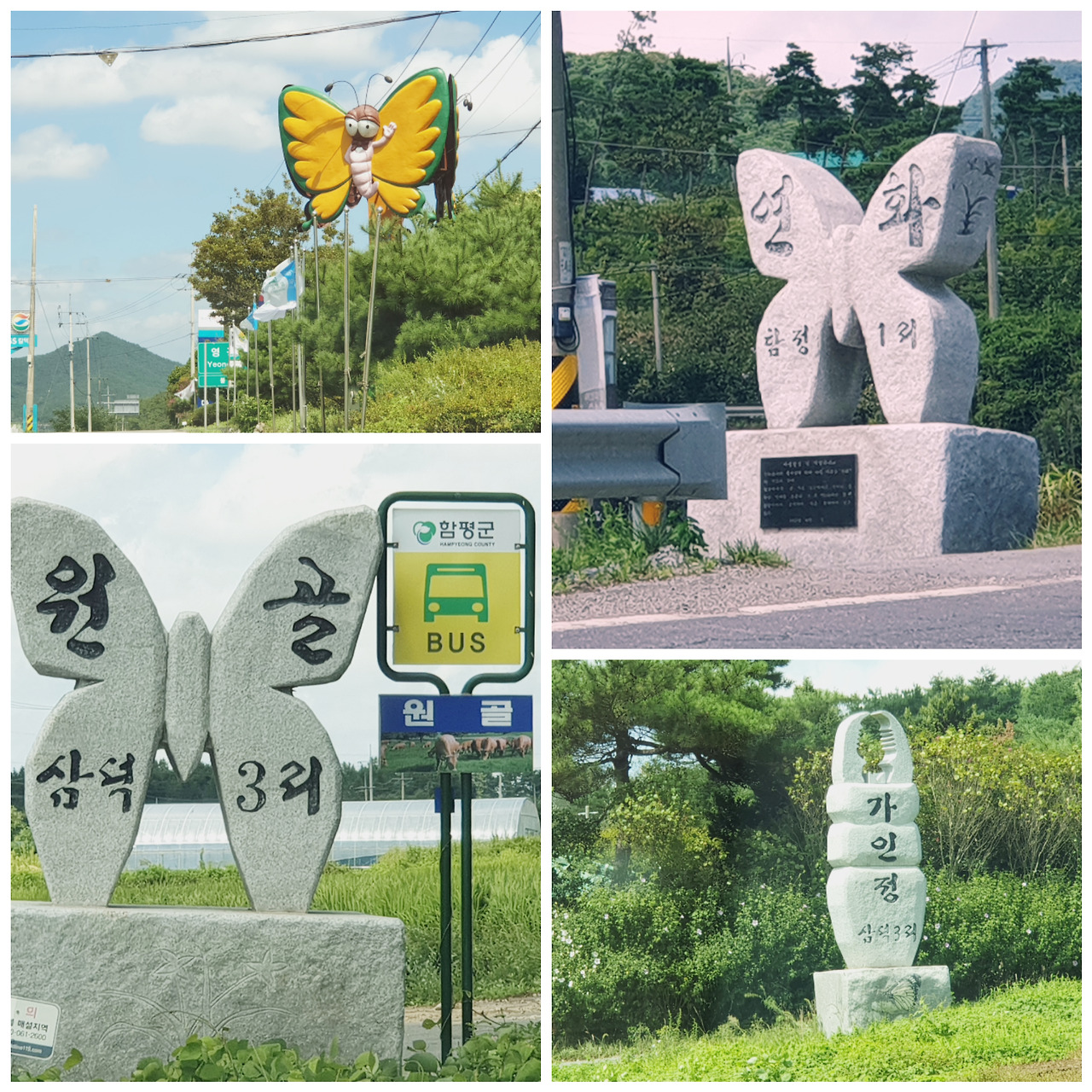 함평 표지석.jpg
