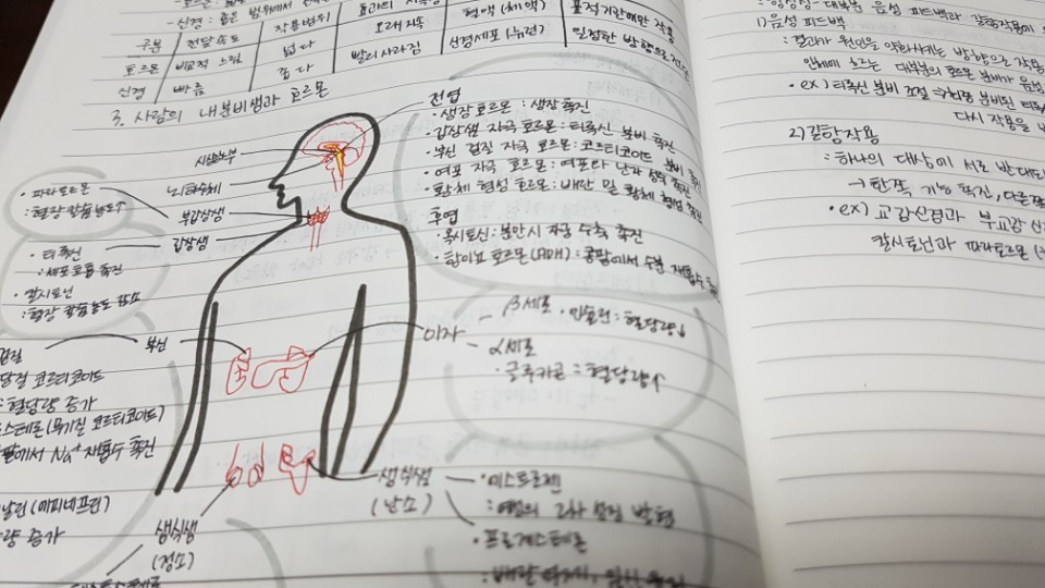 마포 공덕에듀플렉스 학원 노트정리 하는 법 10.jpg